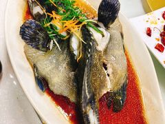 石斑鱼-聚鲜阁海鲜美食城(香水湾店)