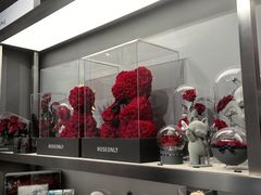-ROSEONLY诺誓(沈阳万象城店)