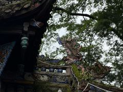 -青城山