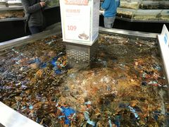 -盒马鲜生(莱蒙都会店)