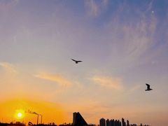 -烟台金沙滩海滨公园