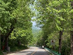 -玉渡山自然风景区