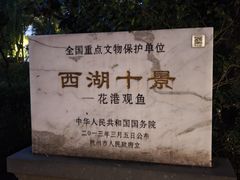 -西湖游船