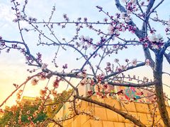 -江湾体育中心游泳馆
