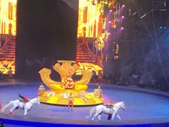 -广州长隆国际大马戏