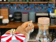 -咖法森林·咖啡  酒吧(天河店)