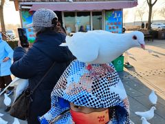 -天津妈祖文化园