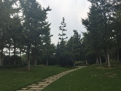 -济南森林公园