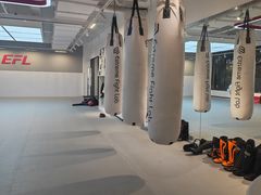-EFL巴西柔术·综合格斗·泰拳·少儿体能训练(虹桥德必馆)