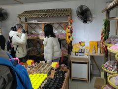 -苏州市吴中区光福窑上花果蜜饯厂