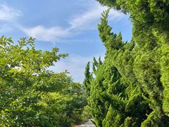 -养马岛旅游度假区