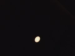 -丹盛象山海鲜(水清路店)