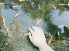 -三亚海棠湾南田温泉神龙谷
