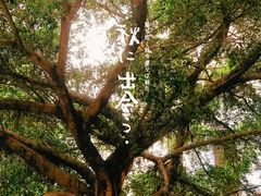 -重百超市(鲁能星城店)