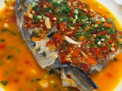 -全乐鱼馆·淳牌有机鱼直营店