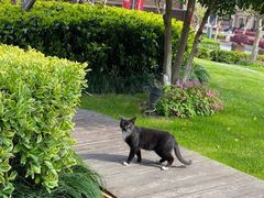 -荷风细雨·中国茶宴(碧云店)