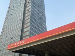 -中国石油徐东路加油站(武汉大道店)