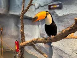 -Zoolung Zoolung动物主题公园(海信广场店)