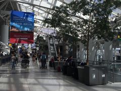 -约翰·菲茨杰拉德·肯尼迪国际机场