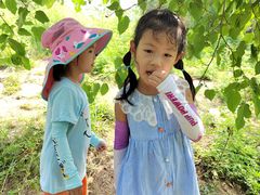 -大觉寺-停车场