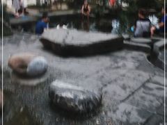 -成都市活水公园