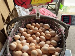 -马陆小张葡萄园农家乐