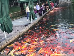 -大汗烧烤滩羊馆(清水河公园店)