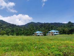 -海南热带雨林国家公园吊罗山景区