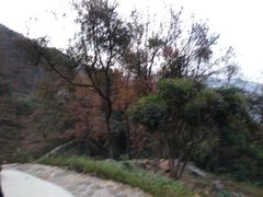 -广州市石门国家森林公园