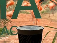 -ZOO COFFEE动物园咖啡(红山森林动物园店)