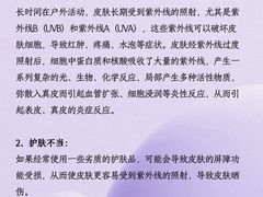 -上海明天广场JW万豪酒店