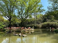 -上海野生动物园