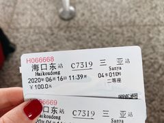 -海口东站