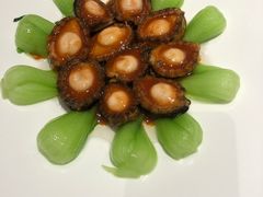 烧鲍鱼-燕春楼(海河华鼎店)