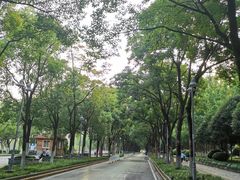 -后襄河公园