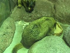 -福州罗源湾海洋世界旅游区