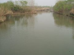 -溱湖国家湿地公园