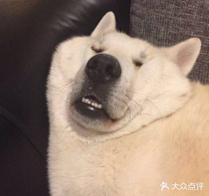 星巴克(泰安万达店)图片