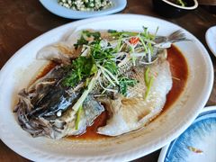 -浦江餐饮•上海菜馆(五四路店)