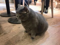 -小时光咖啡馆(开森度假森林店)