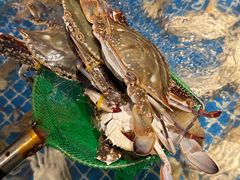 -小时候焗海鲜(鄞州万达店)