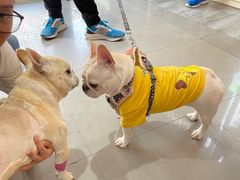 -爱侣宠医·鹦鹉专科·小型哺乳类·异宠专科(灵石路店)