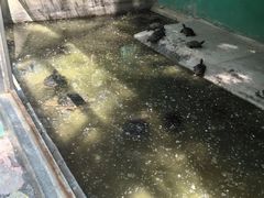 -廊坊市自然公园