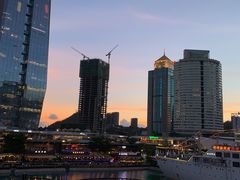 -润园四季椰子鸡火锅(海上世界店)