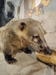 -Zoolung Zoolung动物主题公园(海信广场店)