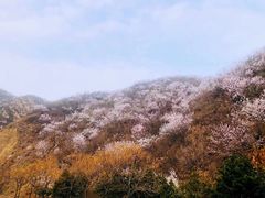 -白河湾生态旅游一条川