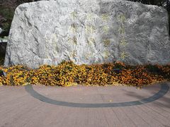 -北京国家会计学院