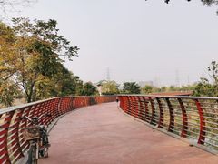 -王借岗森林公园