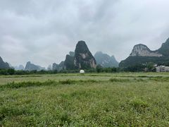 -明仕田园