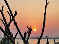 -芒洲湿地公园